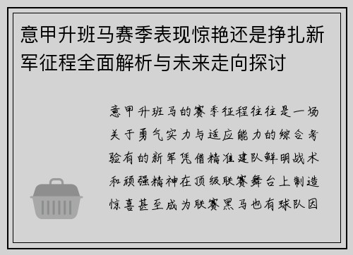 意甲升班马赛季表现惊艳还是挣扎新军征程全面解析与未来走向探讨